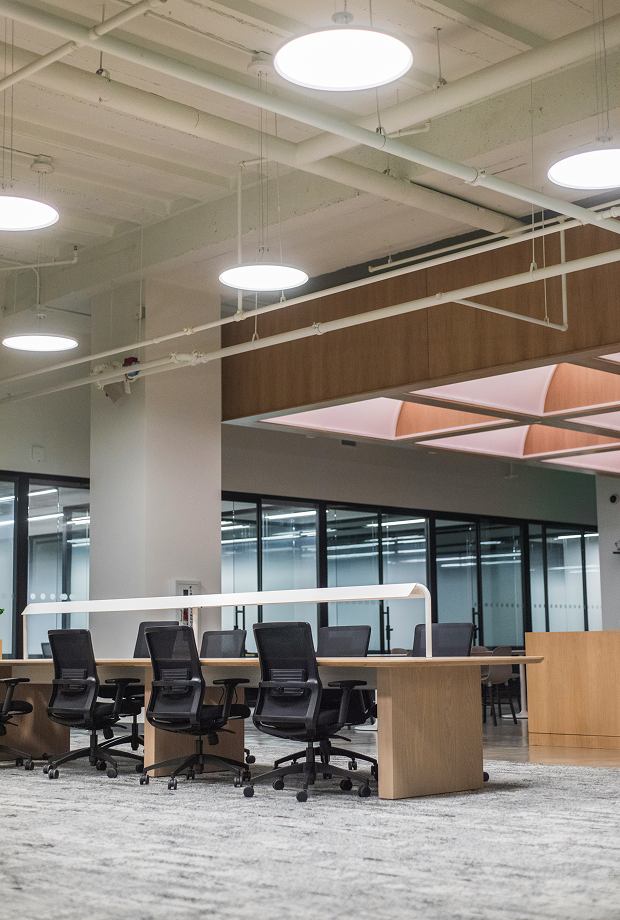 Modern open-plan office with shared desks and glass-walled meeting rooms